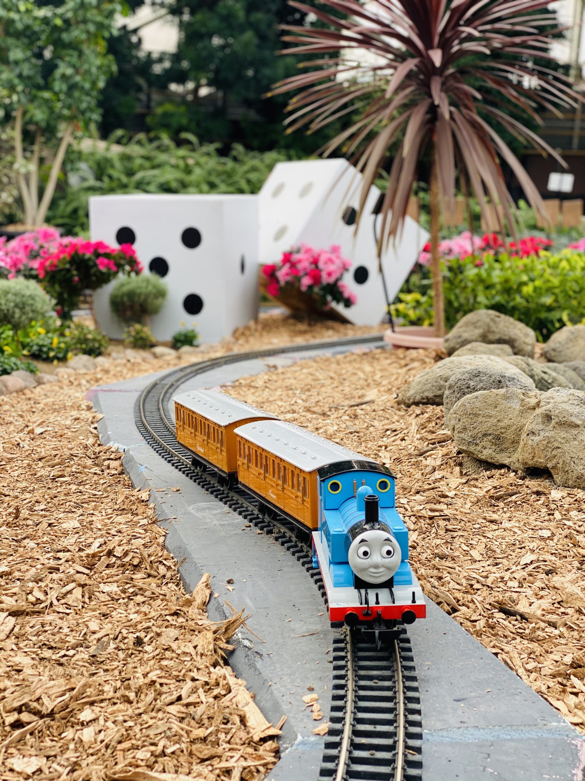 Member-Only Train Show Thumbnail