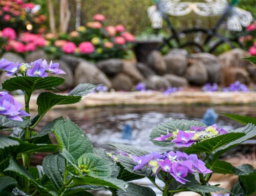 The Restorative Power of Nature