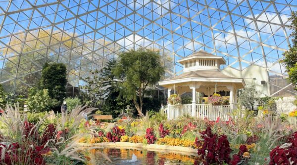 Show Dome Image2