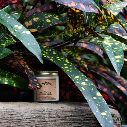 A small, labeled jar candle sits on a wooden surface, partially concealed by lush, colorful foliage with green, yellow, and red speckled leaves. The candle's label features a minimalist design with text and simple graphics.