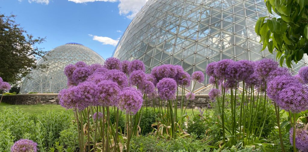 A New Era for the Domes