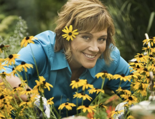 Boost Your Mood with a bit of Green Time